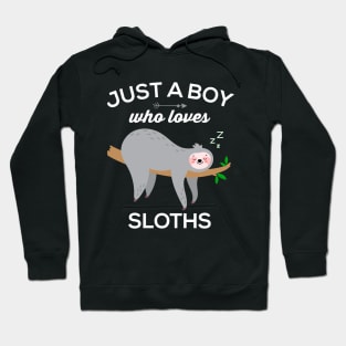 Sloths for Boys: Funny Just a Boy Who Loves Sloths Hoodie